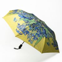 Ομπρέλα, Ίριδες, Van Gogh Museum, 673029